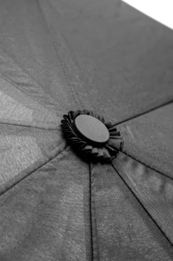 Umbrella1 Paraply